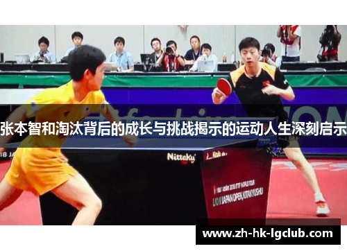 张本智和淘汰背后的成长与挑战揭示的运动人生深刻启示